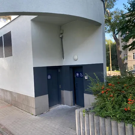 Urban Jungle By Zoom