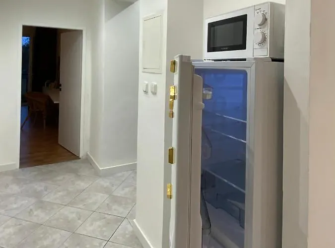 Urban Jungle By Zoom