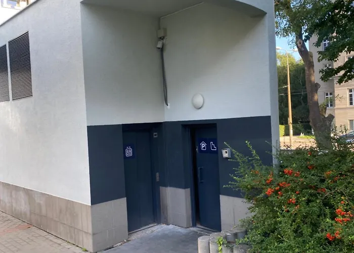 Urban Jungle By Zoom