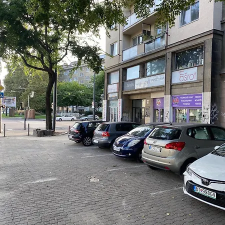 Urban Jungle By Zoom Apartment